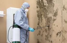 Best Industrial Mold Remediation  in Pasadena, TX